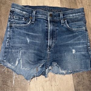 Citizens of Humanity Blue Denim Jeans